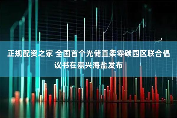 正规配资之家 全国首个光储直柔零碳园区联合倡议书在嘉兴海盐发布