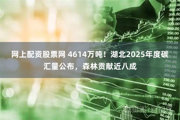 网上配资股票网 4614万吨！湖北2025年度碳汇量公布，森林贡献近八成