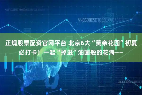 正规股票配资官网平台 北京6大“莫奈花园”初夏必打卡！一起“掉进”油画般的花海——