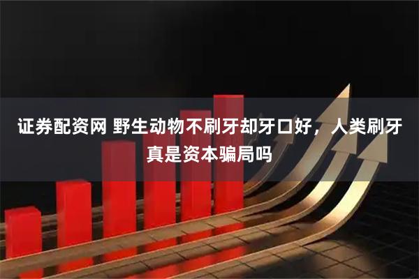 证券配资网 野生动物不刷牙却牙口好，人类刷牙真是资本骗局吗