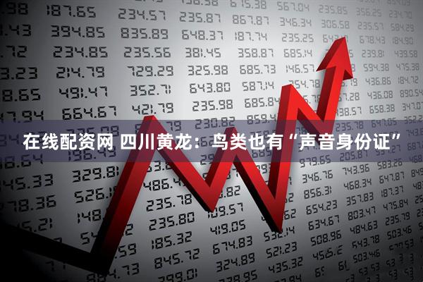 在线配资网 四川黄龙：鸟类也有“声音身份证”
